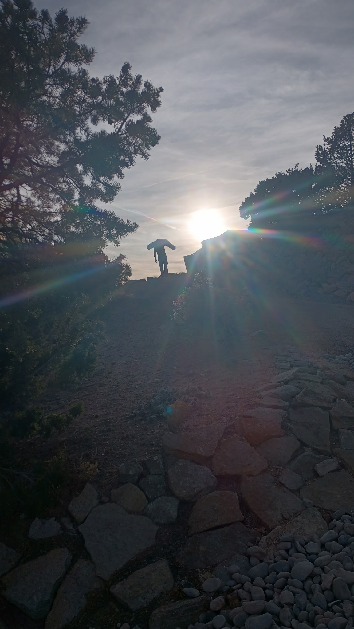Brandon against the Sun
